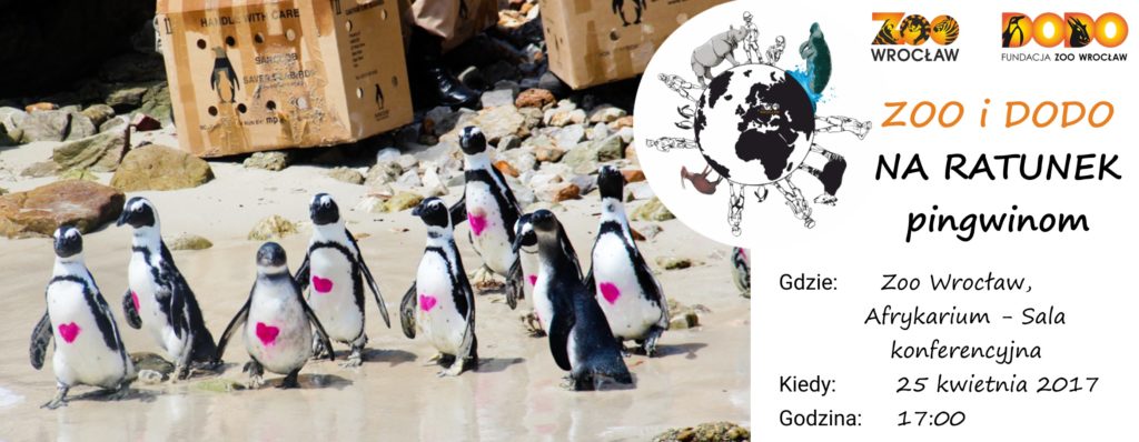 Zoo i Dodo na ratunek pingwinom