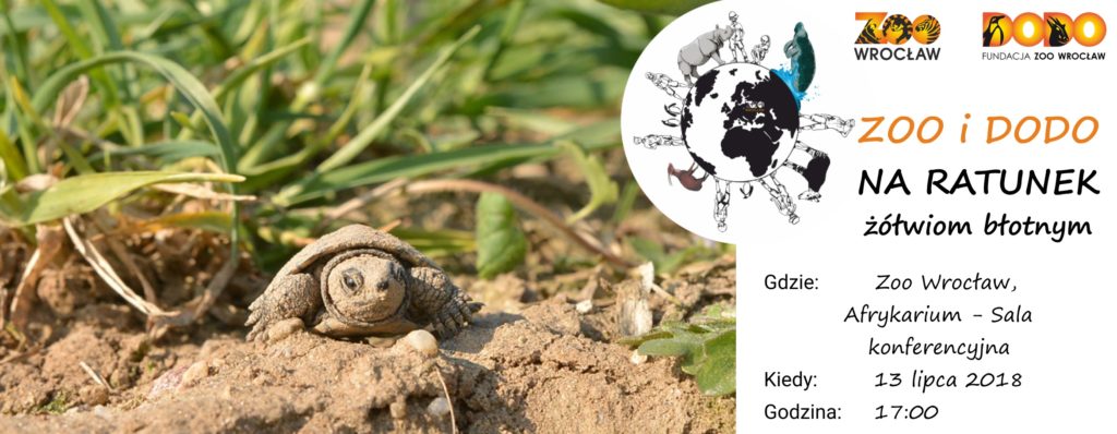Zoo i Dodo na ratunek żółwiom błotnym