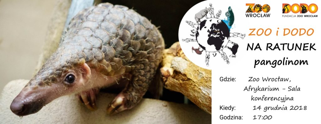 Zoo i Dodo na ratunek pangolinom