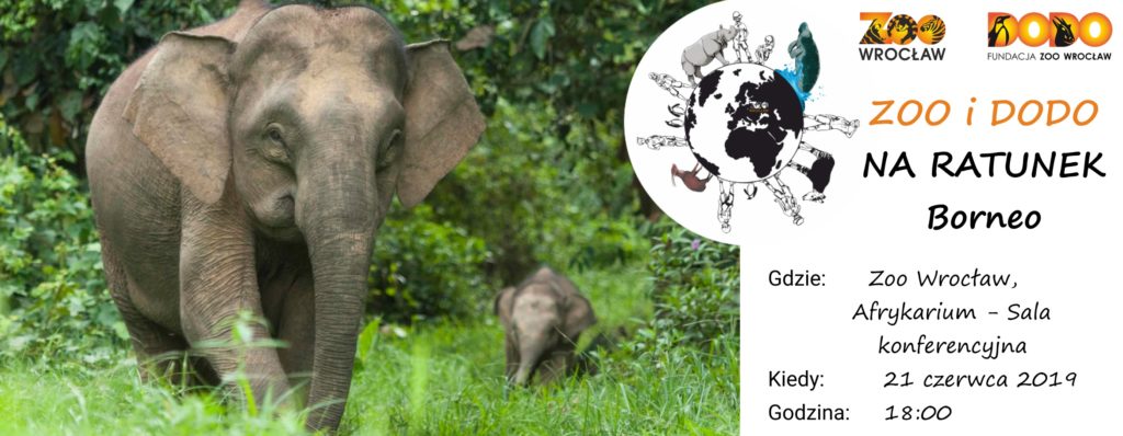 Zoo i Dodo na ratunek Borneo