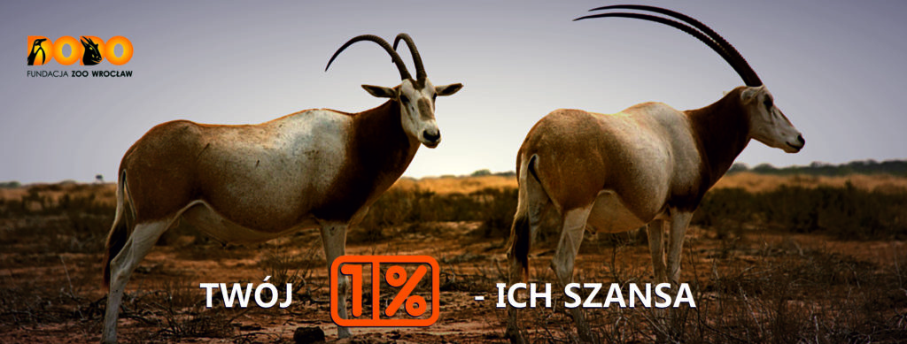 Podaruj 1% swojego podatku na ochronę oryksów szablorogich!