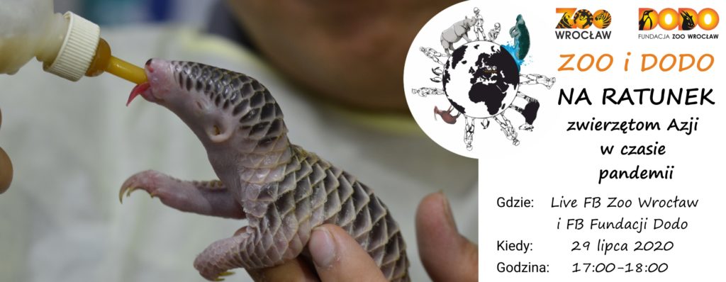Zoo i Dodo na ratunek zwierzętom Azji w czasie pandemii