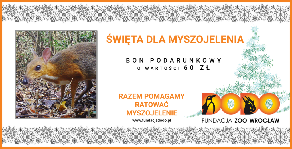 Kup bon podarunkowy dla myszojelenia