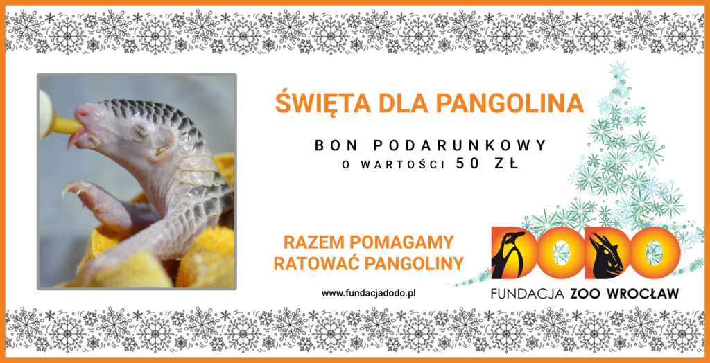 Kup bon podarunkowy dla pangolina