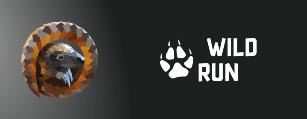 Podsumowanie WILD RUN 2020