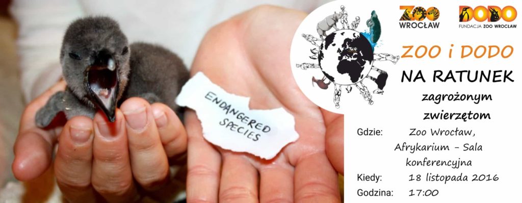 Zoo i Dodo na ratunek zagrożonym zwierzętom