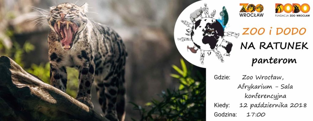 Zoo i Dodo na ratunek panterom