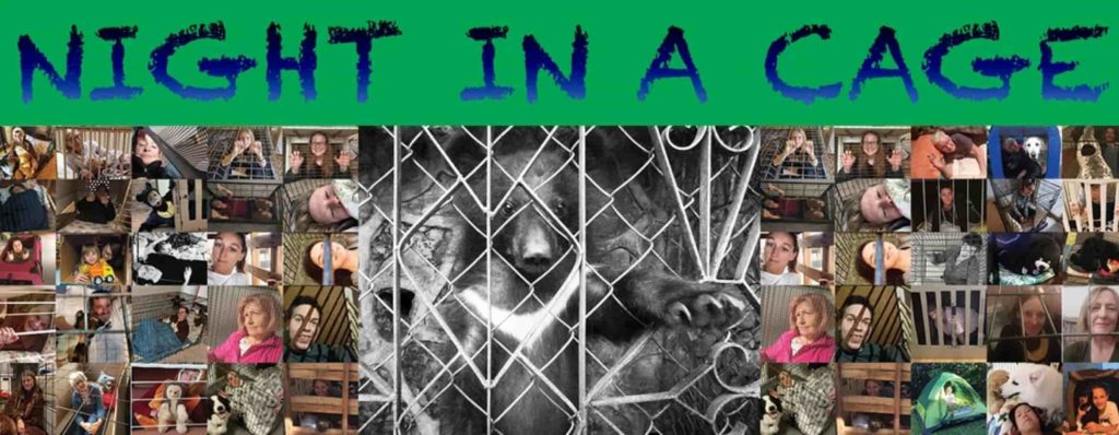 Noc w klatce by ratować niedźwiedzie!