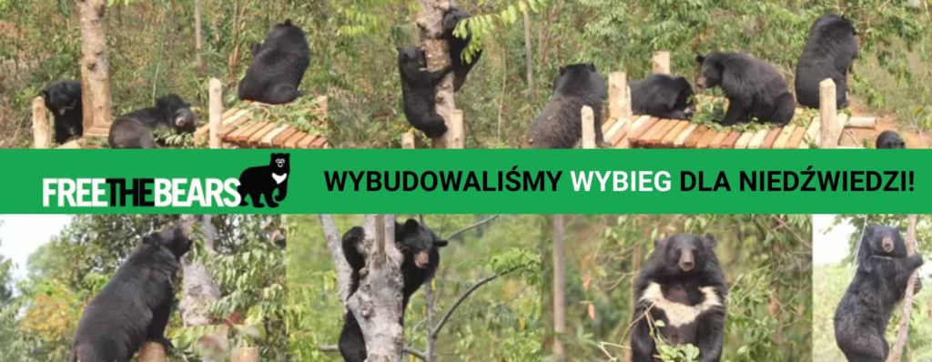 Wybudowaliśmy wybieg dla niedźwiedzi!