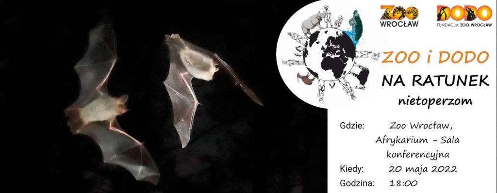 Zoo i Dodo na ratunek nietoperzom