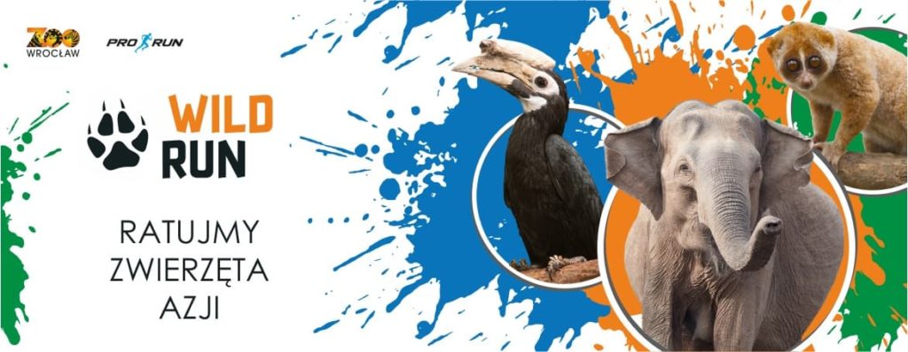WILD RUN 2022