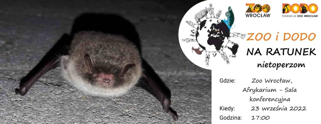 Zoo i Dodo na ratunek nietoperzom