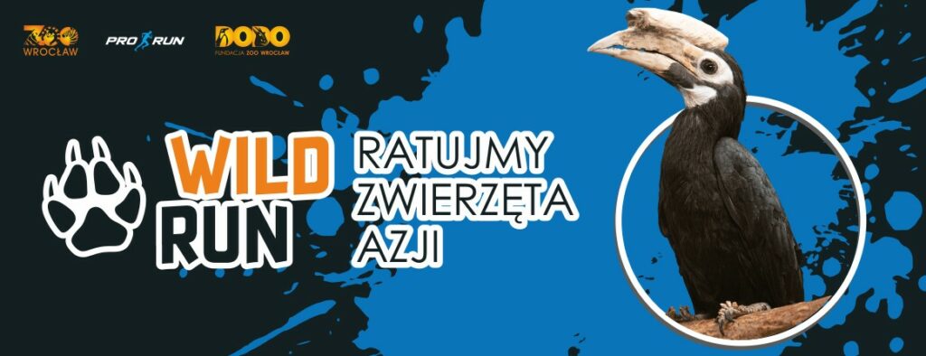 Podsumowanie WILD RUN 2022