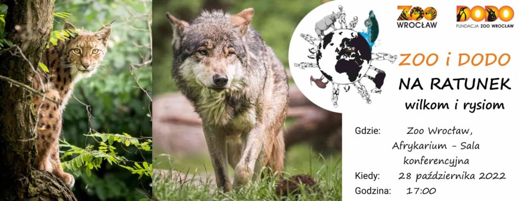 Zoo i Dodo na ratunek wilkom i rysiom