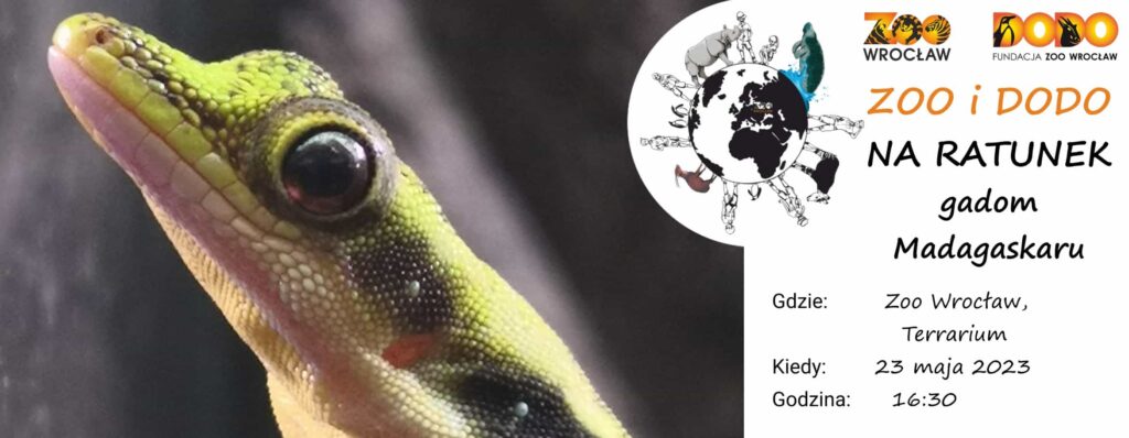 Zoo i Dodo na ratunek gadom Madagaskaru
