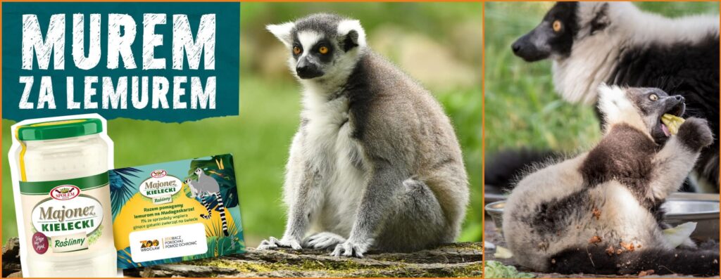 Na pomoc lemurom!