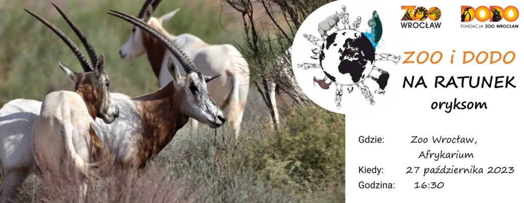 Zoo i Dodo na ratunek oryksom