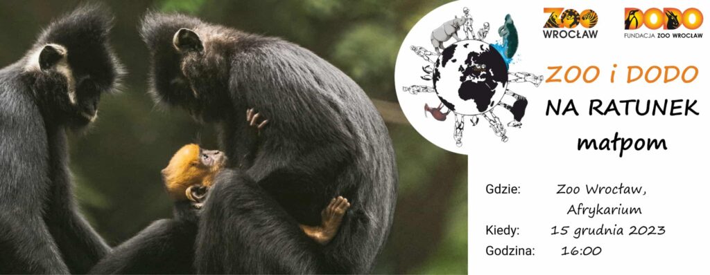 Zoo i Dodo na ratunek małpom